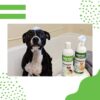 Speak Pet Products Natural Moisturizing Tea Tree Relief Detangling Dog Leave-in Grooming Conditioning Spray with Coconut Oil and Aloe Vera, 17 Ounces - Image 3