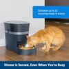 PetSafe Smart Feed - Electronic Pet Feeder for Cats & Dogs - 6L/24 Cup Capacity - Programmable Mealtimes - Alexa, Apple & Android Compatible - Backup Batteries Ensure Meal Delivery During Power Outage - Image 7