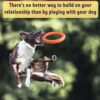 PetSpy Dog Training Ring for Outdoor Fitness Floatable Pulling Toy and Flying Disc Interactive Play Tool for Small Medium Large Dogs - Image 3