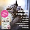 HomeoPet Feline UTI Plus Urinary-Tract Relief, Urinary-Tract Support for Cats, 15 Milliliters - Image 6