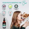 Natural Dog Antibiotics - Dog Ear Infection Treatment - Cat UTI Remedy - Dog UTI Treatment - Yeast Infection Treatment for Dogs - Broad Immune Support - by XanderPets USA 1200 Drops - Image 3