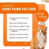 LIQUIDHEALTH 2.3 Oz Liquid Cat Glucosamine Joint Purr-Fection - Hip and Joint Support, Chondroitin Feline Droppers - Senior Older Cats, Kittens - Image 4