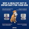 Breeds Best Probiotic & Digestive Aid - Probiotics for Dogs with Organic Food-Based Prebiotics and Digestive Enzymes - Supports Gut Health and Helps Digestion - Non-GMO, No Fillers, Cruelty-Free - Image 3