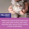 FELIWAY Classic Cat Calming Pheromone, 30 Day Refill - 1 Pack - Image 5