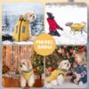 Gyuzh Dog Coat Jacket Vest Clothes Dog Harness Coat Adjustable Reflective Dog Jackets with Pockets and Faux Fur Collar Winter Waterproof Dog Coats for Small Medium Large Dogs (Small, Yellow) - Image 5