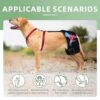 LISPOO Dog Hip Support Brace for Hip Dysplasia, Luxating Patella, Hip Pain, Hip Brace for Dogs Support Low Back Pain/Weakness, Dog Hip Dysplasia Brace Warm Hip Joint and Relief Pain, Dog Hip Brace(L) - Image 5