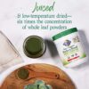 Garden of Life Raw Organic Perfect Food Green Superfood Juiced Greens Powder - Apple Flavor, 30 Servings - Vegan Gluten Free Whole Food Dietary Supplement, Greens Plus Probiotics & Enzymes - Image 7