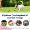 Wobble Giggle Interactive Dog Toys Ball, Squeaky Durable Wag Chewing Ball for Training Teeth Cleaning Herding Balls Indoor Outdoor Safe Dog Gifts for Puppy Small Medium Dogs - Image 5