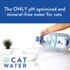 CATWATER by VETWATER | ph-Balanced and Mineral-Free Cat Water | Clinically Proven Urinary Formula | Helps Prevent Cat Urinary Issues, FLUTD | 135.2 oz, 2-Pk, Clear (CW60101-2) - Image 4