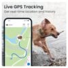 Tractive XL GPS Tracker & Health Monitoring for Dogs (50 lbs+) - Market Leading Pet GPS Location Tracker | Wellness & Escape Alerts | Waterproof | Works with Any Collar (Green) - Image 7