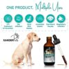 Natural Dog Antibiotics - Dog Ear Infection Treatment - Cat UTI Remedy - Dog UTI Treatment - Yeast Infection Treatment for Dogs - Broad Immune Support - by XanderPets USA 1200 Drops - Image 7