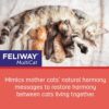 FELIWAY MultiCat Calming Pheromone, 30 Day Refill - 1 Pack - Image 3