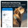 Tractive XL GPS Tracker & Health Monitoring for Dogs (50 lbs+) - Market Leading Pet GPS Location Tracker | Wellness & Escape Alerts | Waterproof | Works with Any Collar (Green) - Image 6