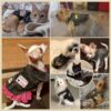 DOGGYZSTYLE Pet Vests Dog Denim Jacket Hoodies Puppy Jacket for Small Medium Dogs (M, Black Print) - Image 2