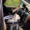 Pet Gear View 360 Pet Safety Carrier & Car Seat for Small Dogs & Cats Push Button Entry - Image 5