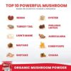 Organic Mushroom Powder Extract -Superfood 10 Supplement 14x Stronger 100% Pure USDA Immunity Booster- Reishi, Chaga, Cordyceps, Shiitake, Lions Mane, Turkey Tail and More. Add to Coffee/Tea 60 Grams - Image 3