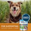 DentaLife Purina Bundle Pack Adult Dry Dog Food and Treats, ONE Chicken and Rice Formula ActivFresh - Image 5