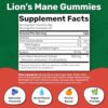 Fungies Lion's Mane Mushroom Brain Health Gummies - Promotes Focus, Memory, and Mood - 60 Count (Natural Blueberry and Strawberry Flavor, Gelatin-Free, Gluten-Free, Non-GMO, Vegan) - Image 6