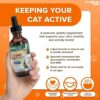 LIQUIDHEALTH 2.3 Oz Liquid Cat Glucosamine Joint Purr-Fection - Hip and Joint Support, Chondroitin Feline Droppers - Senior Older Cats, Kittens - Image 5