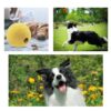 Volacopets 5 Different Functions Interactive Dog Toys, Puzzle Toys, Dog Balls for Medium Large Dogs, Food Treat Dispensing Dog Toys - Image 3