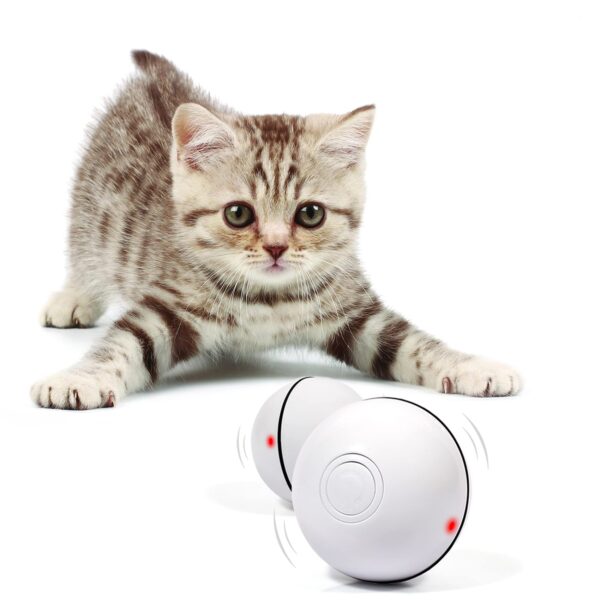 YOFUN Smart Interactive Cat Toy - Newest Version 360 Degree Self Rotating Ball, USB Rechargeable Wicked Ball, Build-in Spinning Led Light, Stiulate Hunting Instinct for Your Kitty (White)