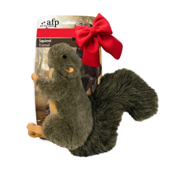 ALL FOR PAWS Interactive Dog Squirrel Plush Toys, Stuffed Animal Squeaky Toy for Dogs Enrichment Toys, Large