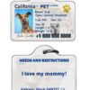 Personalized Pet Driver License ID Tags - Customized for your Pet! Add a touch of humor with funny cat and dog license ID tags. - Image 6