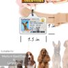 Personalized Pet Driver License ID Tags - Customized for your Pet! Add a touch of humor with funny cat and dog license ID tags. - Image 2