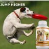 Amazing Turmeric for Dogs and Omega 3 Fish Oil for Dogs Bundle - Image 6