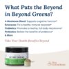 Live Conscious Beyond Greens Superfood Powder - Delicious Debloating Super Greens Powder - Matcha Greens Blend w/Chlorella, Echinacea, Probiotics for Immune Support & Energy - Image 5