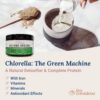 Live Conscious Beyond Greens Superfood Powder - Delicious Debloating Super Greens Powder - Matcha Greens Blend w/Chlorella, Echinacea, Probiotics for Immune Support & Energy - Image 7