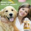 Amazing Turmeric for Dogs and Omega 3 Fish Oil for Dogs Bundle - Image 7