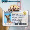 Personalized Pet Driver License ID Tags - Customized for your Pet! Add a touch of humor with funny cat and dog license ID tags. - Image 5