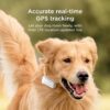 Petcube GPS Tracker for Dogs | Pet GPS Location Tracker with Escape Alerts and Virtual Fences, Activity and Wellness Monitoring, Glows in a Dark, Water and Dust Proof - Image 6